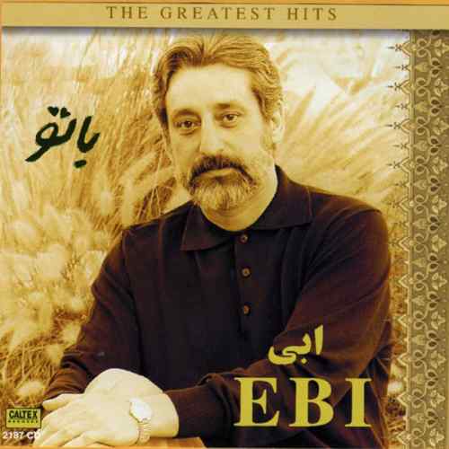 زبانم را نمیفهمی