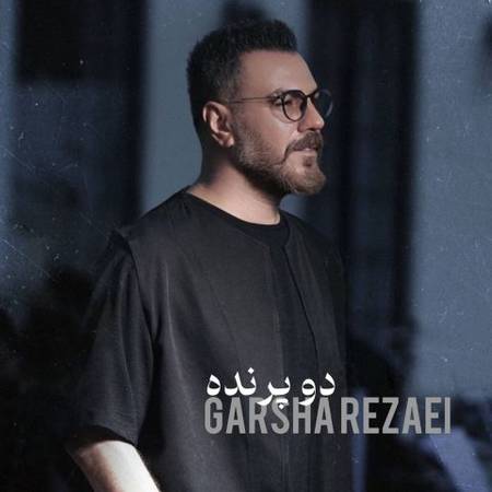 دو پرنده