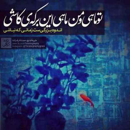 ماه و ماهی