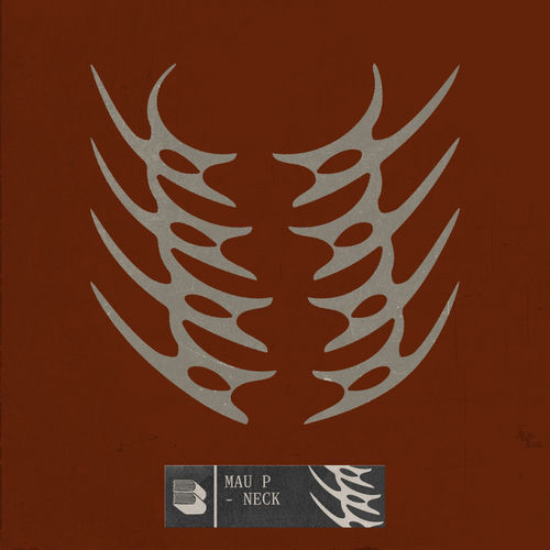 neck