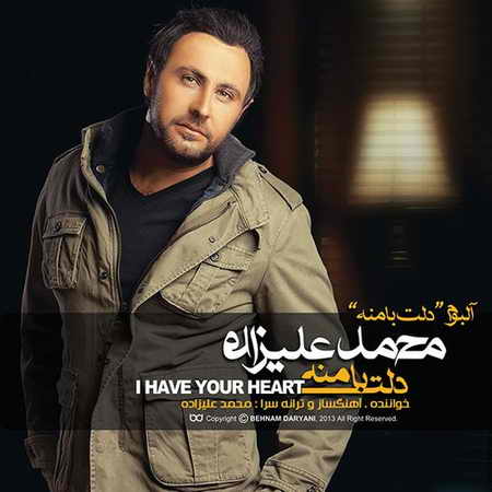 دل بی تو غم زده