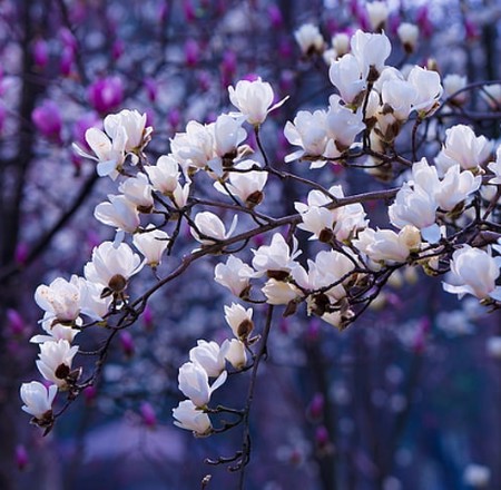 ریمیکس سال بی بهار( بغض وحشی تو‌ گلومه )