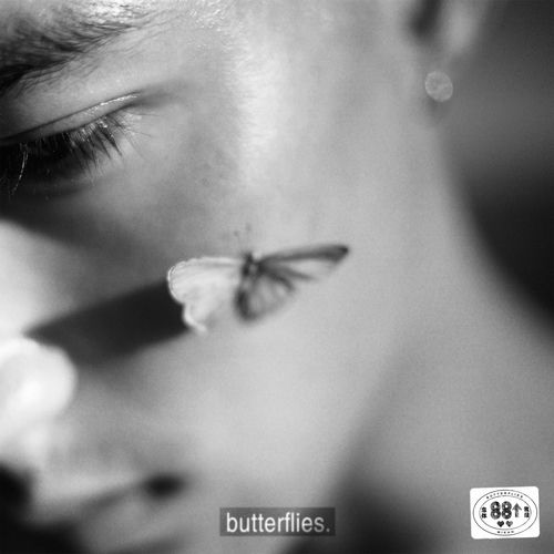 Butterflies