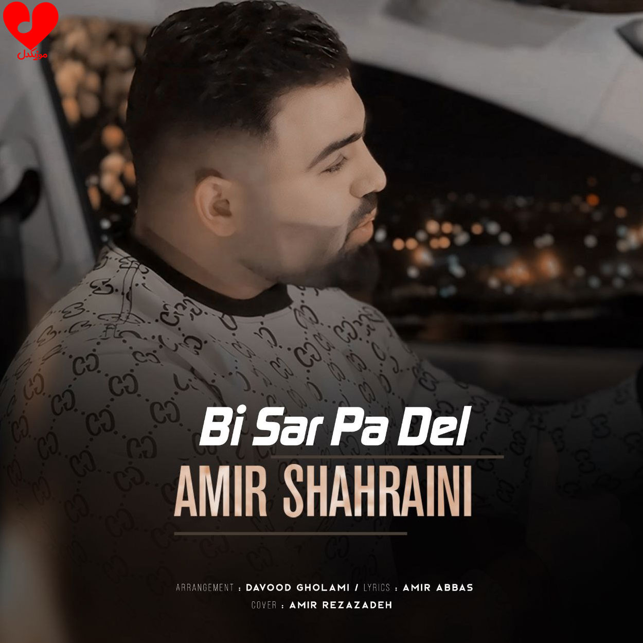 بی سرو پا دل