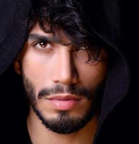 دلمو بردی