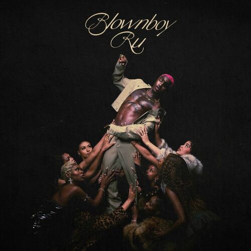 REintroduction