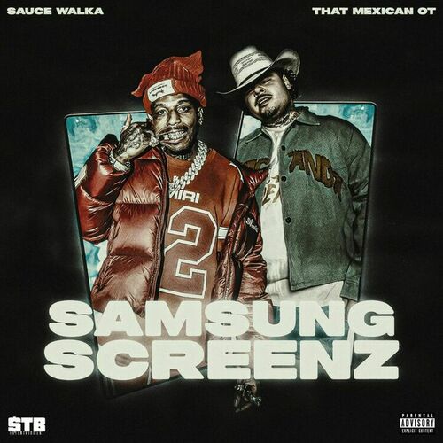 Samsung Screenz