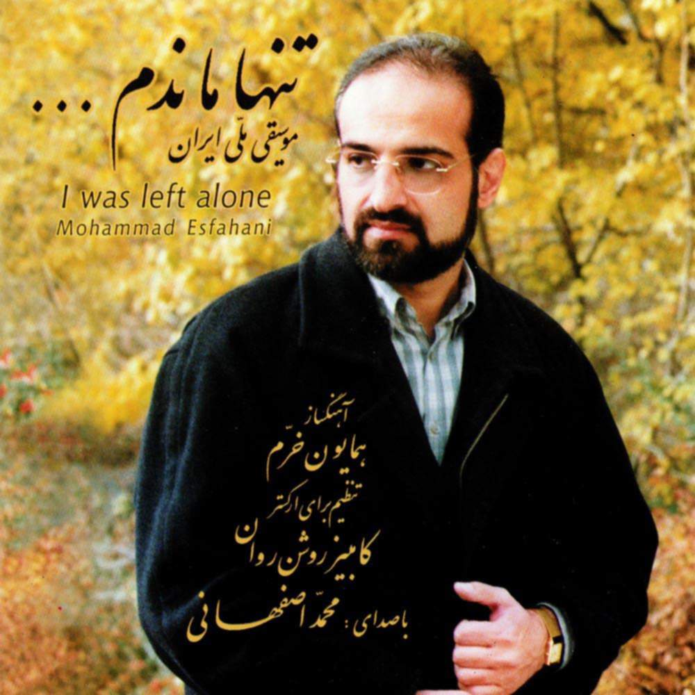 تنها ماندم