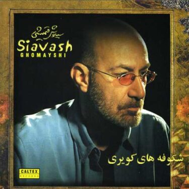 ایرونی (بی کلام)